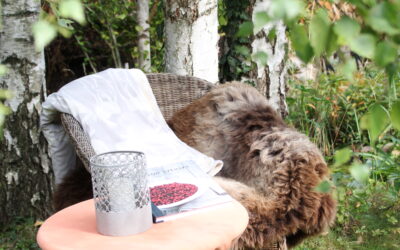 Jetzt ist meine Zeit!