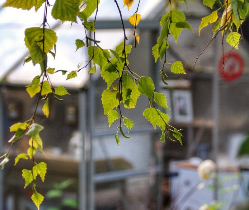 Mein schwedisches Gartenzimmer