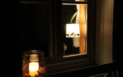 Ein besonderes Gespür für Licht