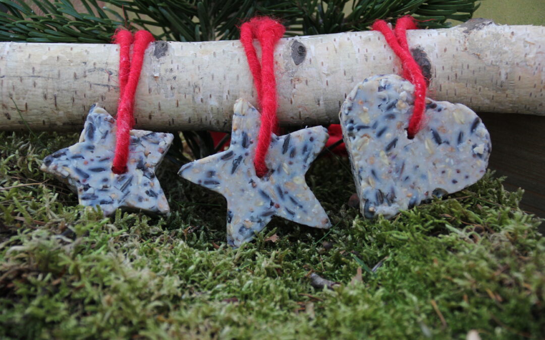 Weihnachtsplätzchen für Wildvögel