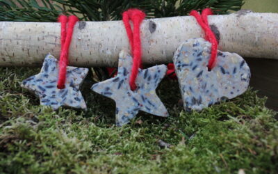 Weihnachtsplätzchen für Wildvögel