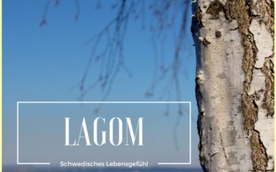 Das war Lagom 2017