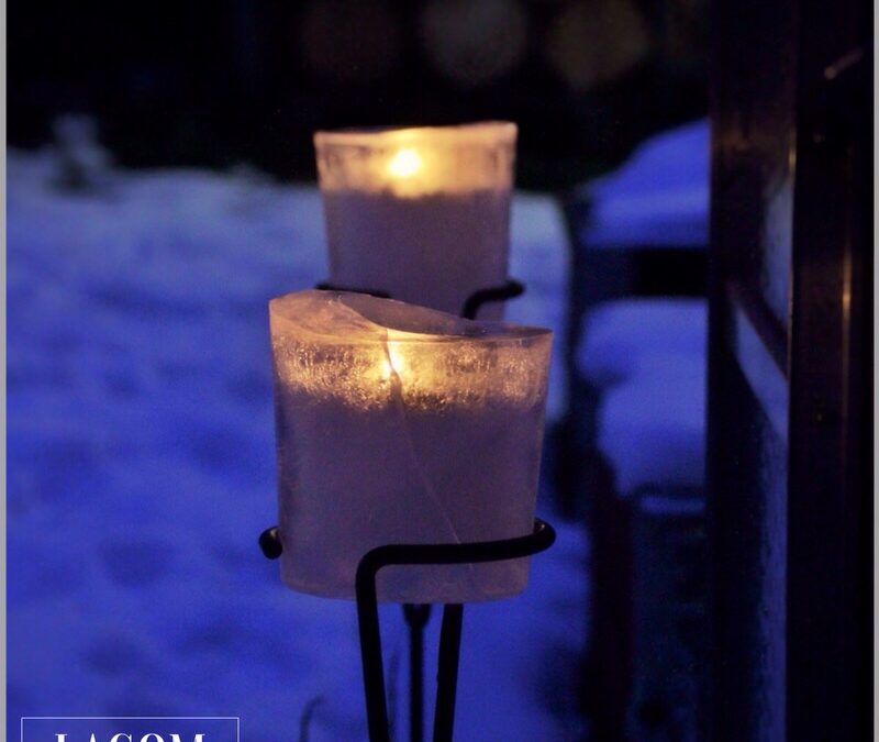 Vinterträdgård – mein Garten im Winter