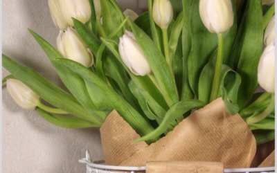 Frühling im Schwedenhäuschen