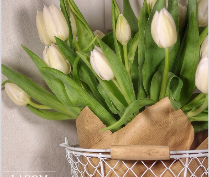 Frühling im Schwedenhäuschen