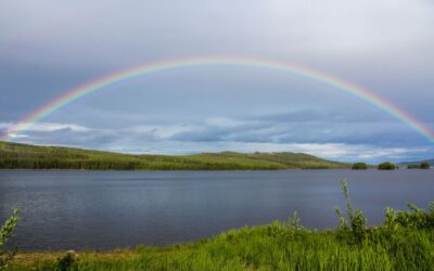 Ein lagom Sommer in Schweden…