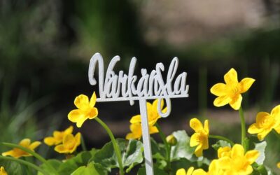 Vårkänsla – Frühlingsgefühl